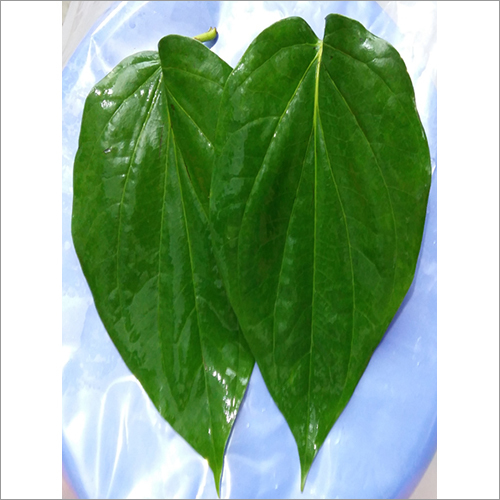 Pali Leaves