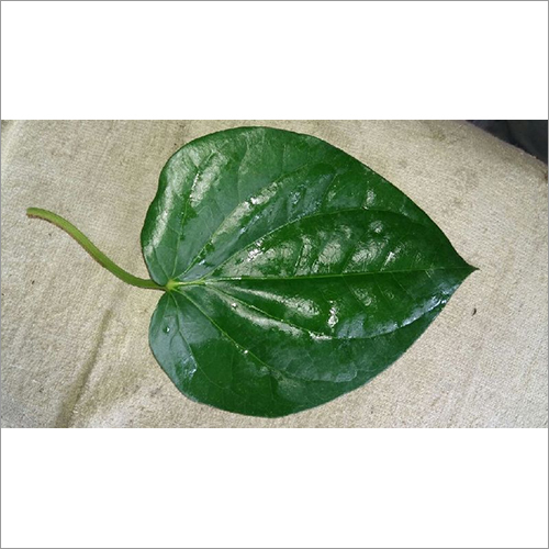 Betel Leaves Mitha (Sweet)