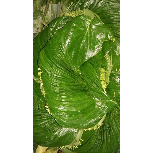 Sweet Betel Leaves