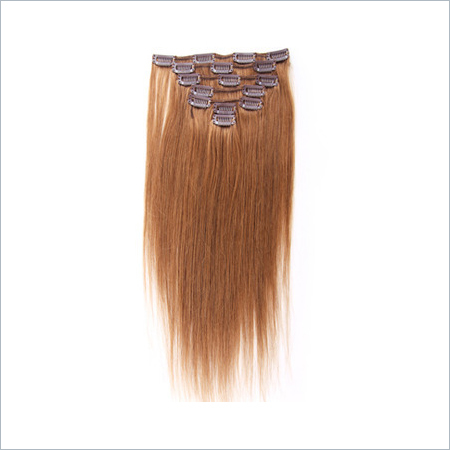 Brown Hair Clip INS