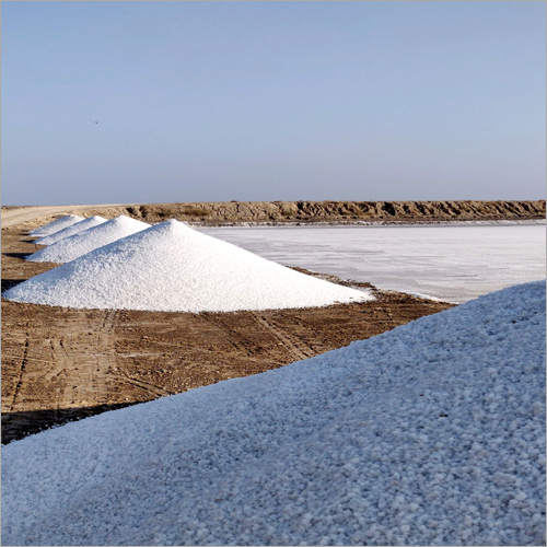 Sea Salt