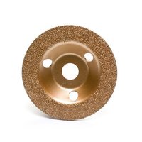 Flap Disc