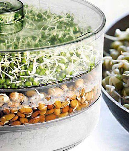 Sprout Maker 3-layer