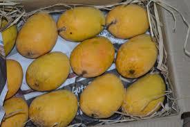 Orange Fresh Mangoes