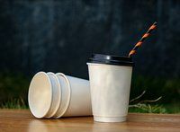 Plain paper cup