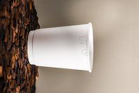 Plain paper cup