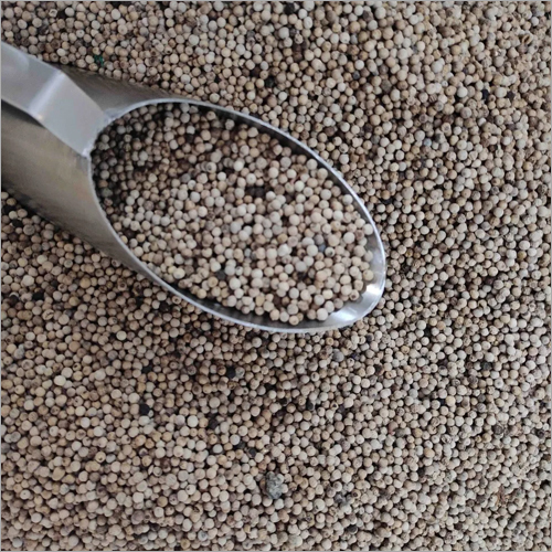 White Pepper