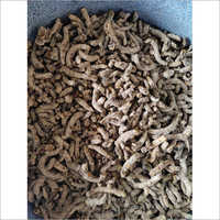 Dry Turmeric Finger