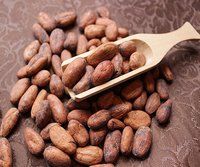 High Quality Cocoa Beans