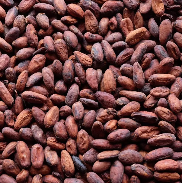 Cocoa Beans