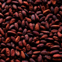 Dried Cocoa Beans(Beans, Juice