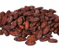 Dried Cocoa Bean