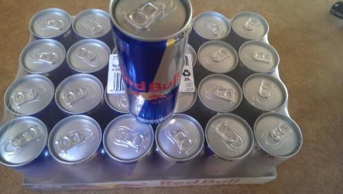 Red Bull Energy Drink 24 Pack of 250 ml