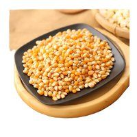 Dried yellow corn seed