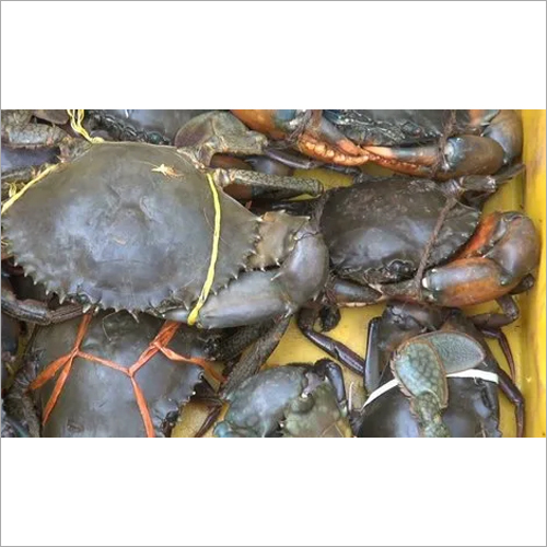 Seafood Crabs Packaging: Mason Jar