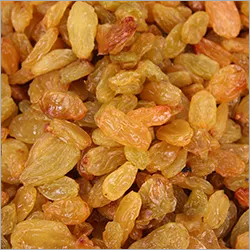 Common Dry Raisin