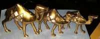 Brass Camel Set
