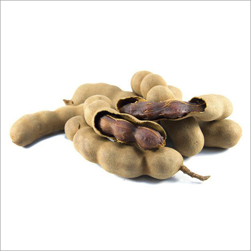 Fresh Tamarind