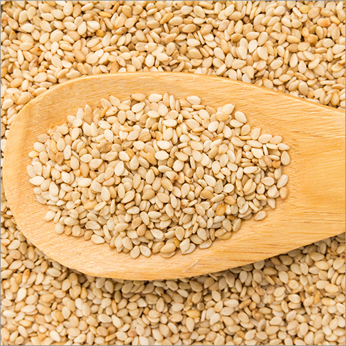 Sesame Seeds