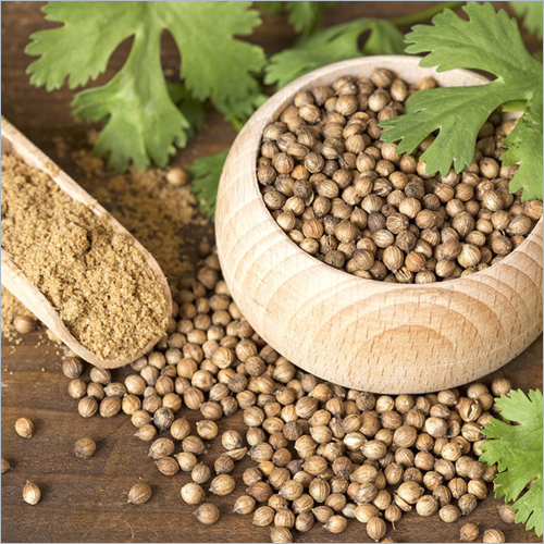 Coriander Seeds