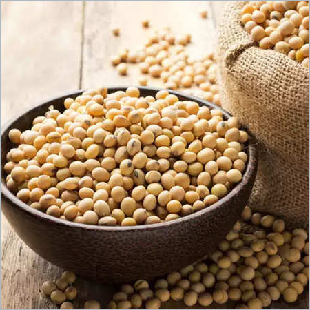 Soyabean