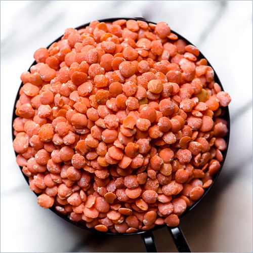 Red Lentils Crop Year: Current Years at Best Price in Mumbai | Edlyene ...