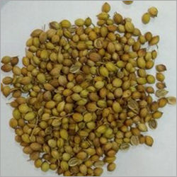 Coriander Seed