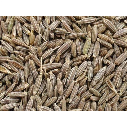 Indian Cumin Seed