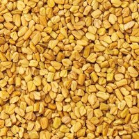Natural Fenugreek Seed, Fenugreek Powder