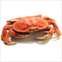 Cross Crab ( Lal Karachalo)