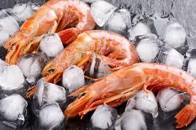 Frozen Red Shrimp