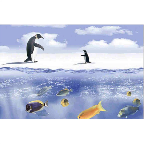 Modern Fish Wall Tiles