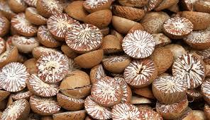 Betel Nuts