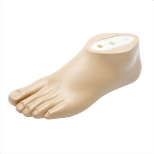 Sach Foot With Nylon Keel