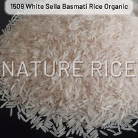 Organic 1509 White/Creamy Sella (Parboiled) Basmat