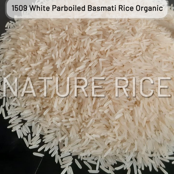 Organic 1509 White Sella Basmati Rice