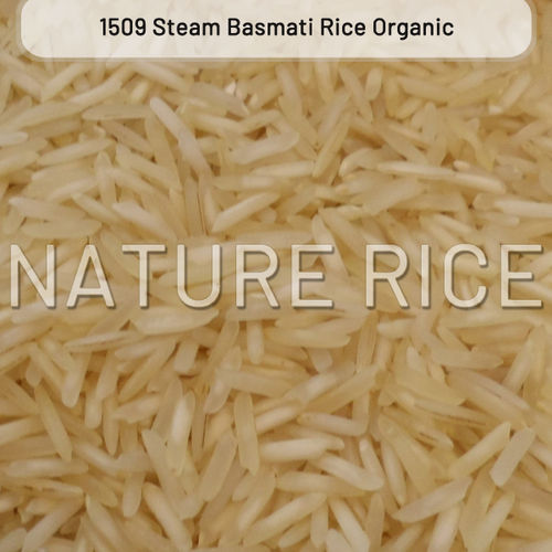 Organic 1509 Golden Sella Basmati Rice