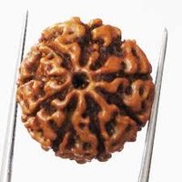 9 मुखी रुद्राक्ष