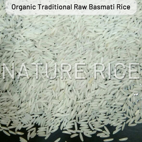 Organic Traditional White Raw Basmati Rice