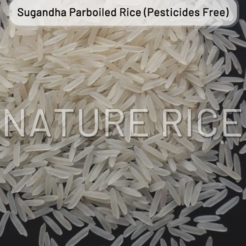 Organic Sugandha White Sella (Parboiled) Rice