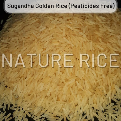 Organic Sugandha Golden Sella (Parboiled) Rice