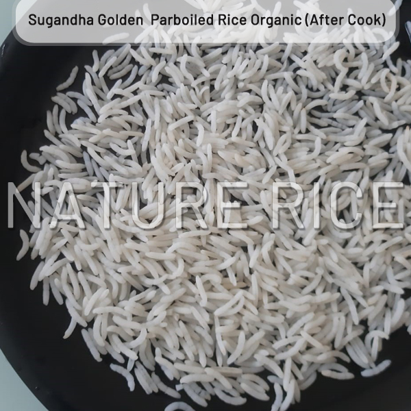 Organic Sugandha Golden Sella (Parboiled) Rice