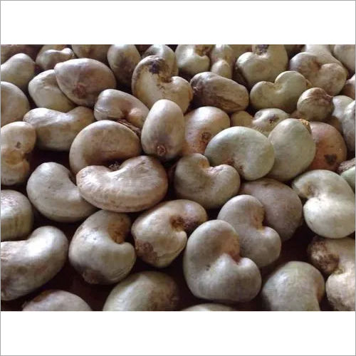 Raw Cashew Nuts Broken (%): 5