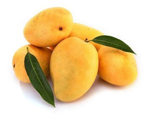 Organic Kesar Mango