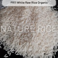 Organic PR11 White Raw Rice
