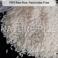 Organic PR11 White Raw Rice
