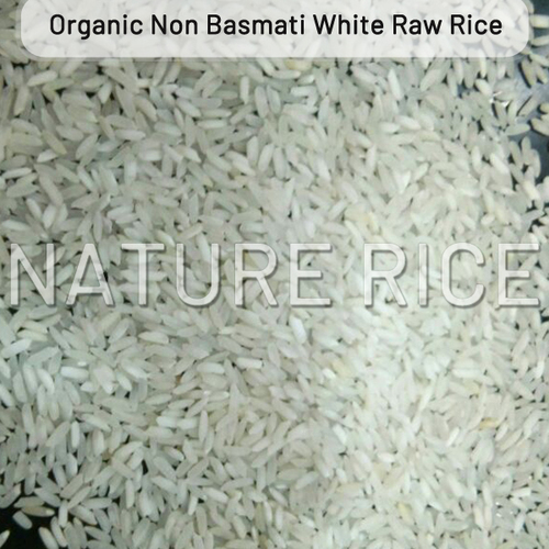 Organic Non Basmati White Raw Rice