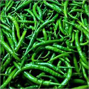 Fresh Green Chilli
