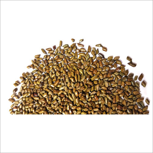 Cassia Tora Seeds