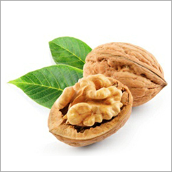 32mm Shelled Walnuts